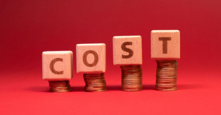 Costs of Business Intelligence Software