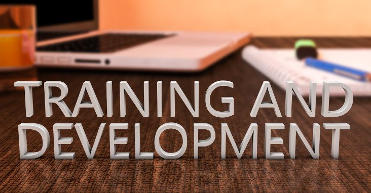 Training and development 
