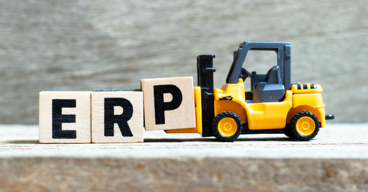 Understanding ERP: Beyond the Acronym