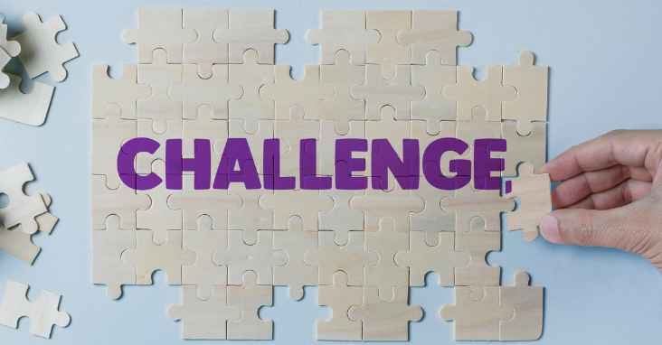 Challenges in Software Integration