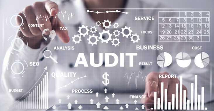 The Compliance Audit Process