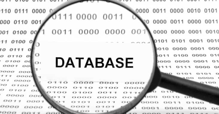 The Impact of Database Choice on Business and Technology